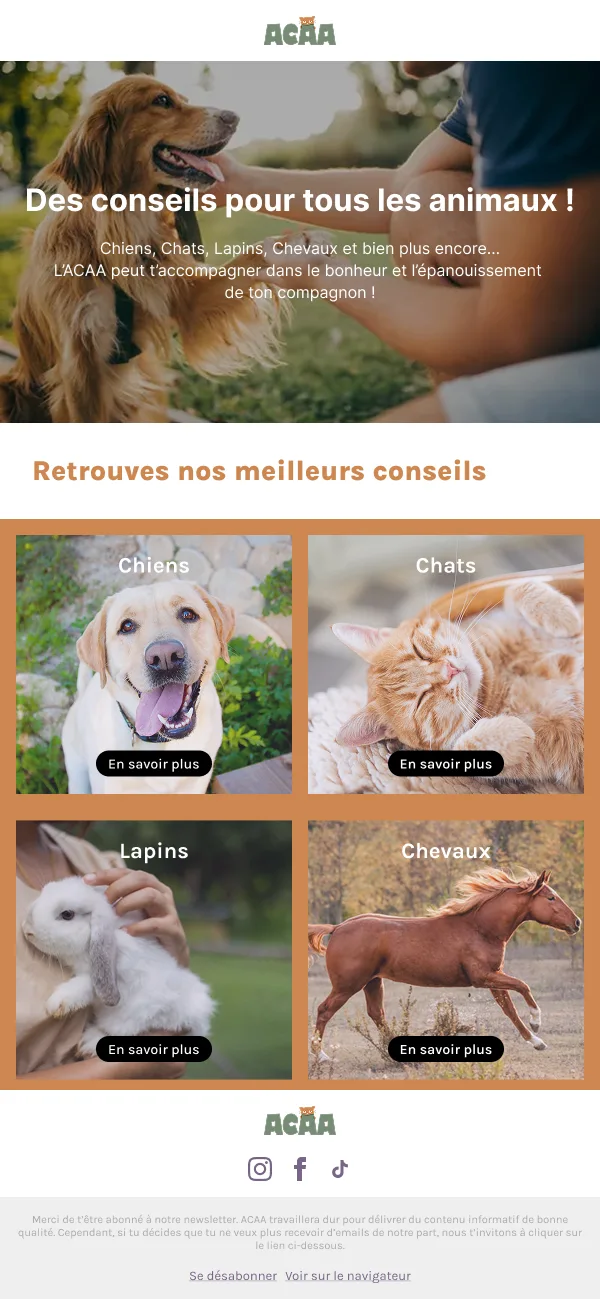 Newsletter Appel aux dons