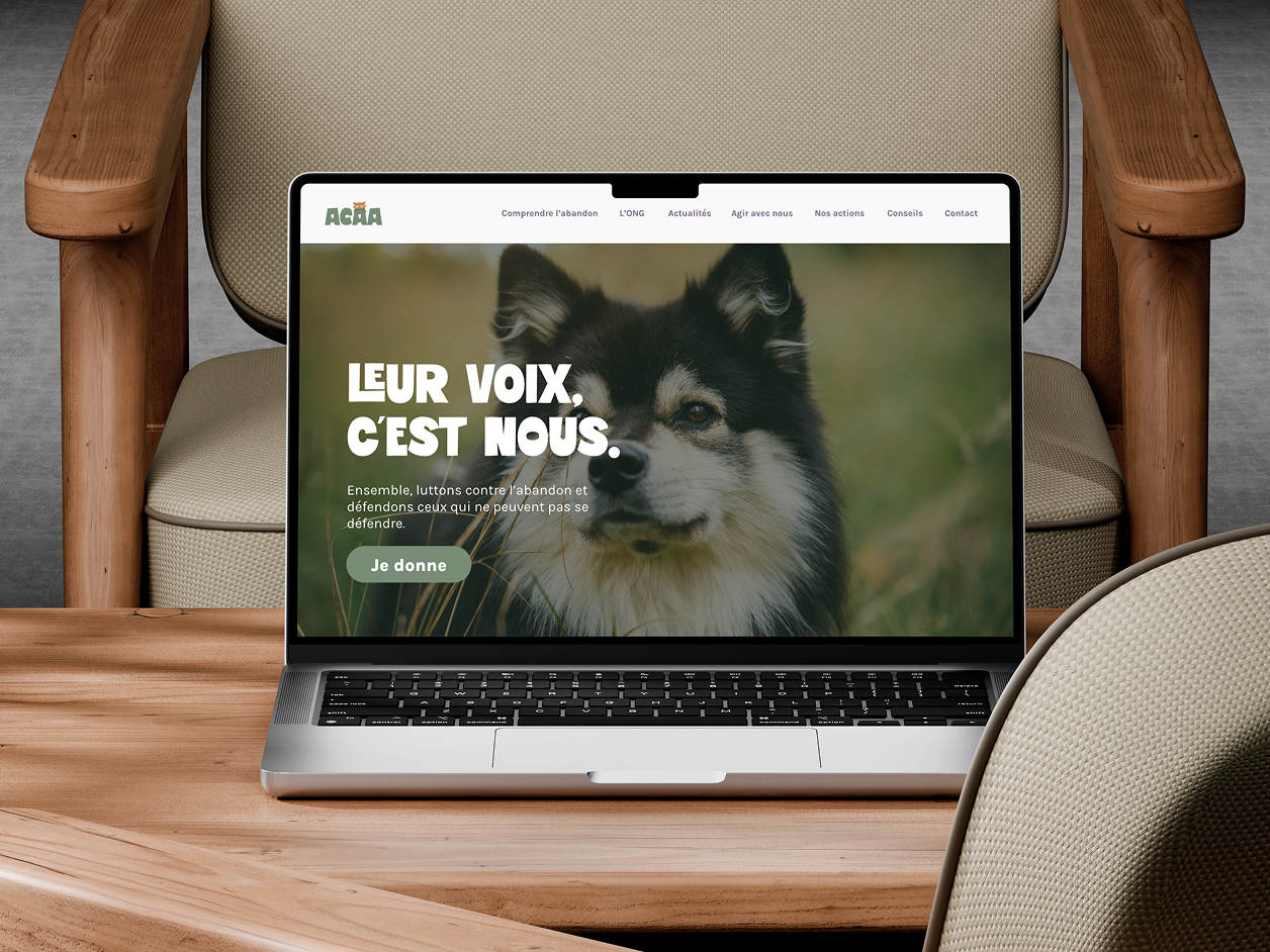 Aperçu de la Newsletter ACAA